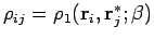 $\rho_{ij} = \rho_1({\bf r}_i,{\bf r}^*_j;\beta)$