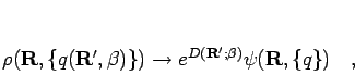 \begin{displaymath}
\rho({\bf R},\{q({\bf R'},\beta)\})\to e^{D({\bf R'};\beta)}\psi({\bf R},\{q\})\quad,
\end{displaymath}